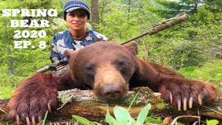 2020 Idaho Spring Black Bear  - Public Land Hunt - Spot and Stalk - Marksman's Creed - Ep. 8