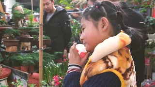 China small city【Tian shui】market 天水花鸟市场