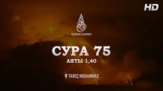 Сура Аль-Кийама | Тарик Мухаммад