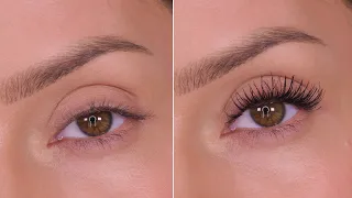 How To Make Your Eyelashes Look Longer With Mascara | Shonagh Scott