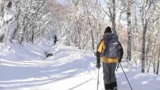 Winter On Mount Mitchell: Cross country skiing NC