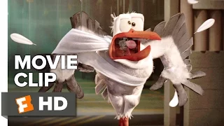 Storks Movie CLIP - Glass! (2016) - Andy Samberg Movie