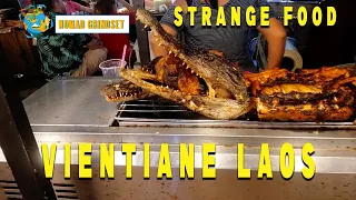 Strange Food at The Vientiane Laos Street Market