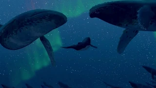 Gojira - Flying Whales [Fantasia]