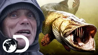 Searching For Legendary Giant Pike In Ireland | Jeremy Wade's Dark Waters