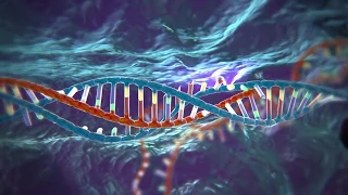 Редактирование генома при помощи CRISPR/Cas9 (Русская озвучка)