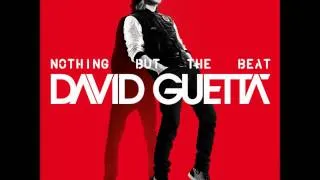 David Guetta feat. Usher - Without you (Chipmunk)