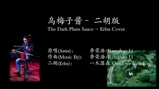 乌梅子酱 The Dark Plum Sauce | 李荣浩/Ronghao Li | 二胡 Erhu Cover