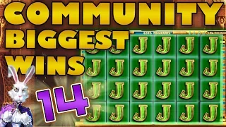 Community Biggest Wins #14 / 2019