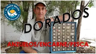 DORADO ANZUELO Y ENCARNE