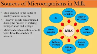 Milk Microbiology Part 2   Sources of Contamination of Milk