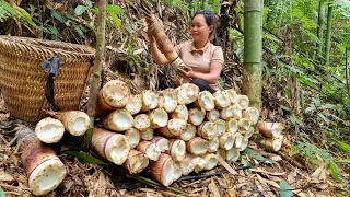 Harvest giant bamboo shoots - Make chili bamboo shoots & Make bamboo shoots roll with rice flour.