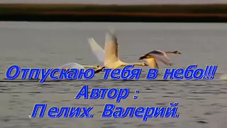 Отпускаю тебя в небо