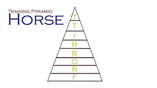 Classical Riding - Basics (Long)