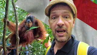 SUMATRA in INDONESIA we can't  BELIEVE this happened while Jungle Trekking in  🇮🇩 Bukit Lawang