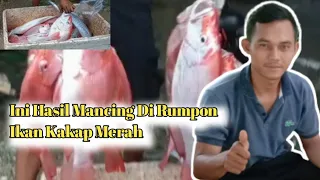 Hasil Mancing Di Rumpon Ikan Kakap Merah