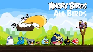 All Birds in Angry Birds (slingshot games) gameplay