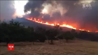 Приголомшливе відео пожеж в Каліфорнії показали рятувальники