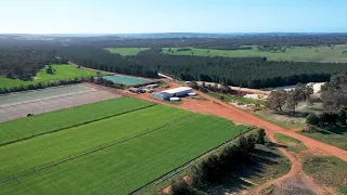 A Day on a Lettuce Farm in Western Australia