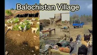 village life in pakistan Balochistan | village life lifestyle pakistan | lifestyle 2023 village life