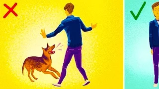 ЧТО Делать Если на ТЕБЯ нападает собака? Это нужно знать!