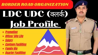 🛑BRO LDC UDC Job Profile | Lower division Clerk | Promotion