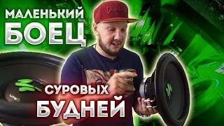 Маленький боец, суровых будней! Сабвуфер 300 WATT RMS!