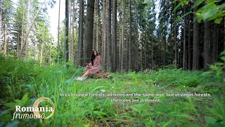 România Frumoasă. Pădurile virgine ale României (17 10 2020)