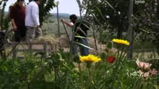 I passi del silenzio - Pulsano