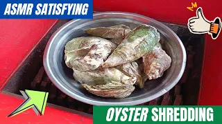 Top 10 the best videos compilation | ASMR satisfying OYSTER shredding