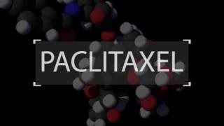 A Smart Anti-tumor Drug: Nucleolin Aptamer-Paclitaxel Conjugate