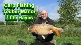 Carp Fishing, Todber Manor, Little Hayes