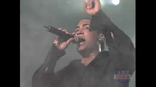 QUIEN LA VIO LLORAR (THE LAST DON LIVE) - DON OMAR [VIDEO ORIGINAL]