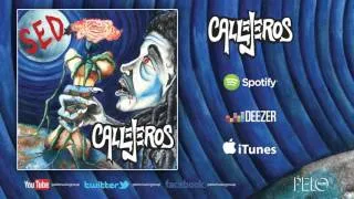 LOS INVISIBLES - CALLEJEROS "SED"