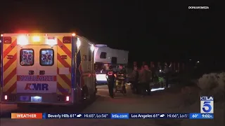 Woman ‘attacked by 7 dogs’ in Lake Los Angeles area, witness says