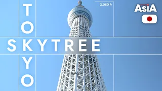 Tallest Tower in the World | Tokyo Skytree