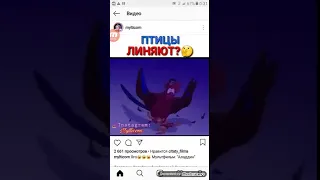 ПТИЦЫ ЛИНЯЮТ ВИДЕО С INSTAGRAMA ПРИКОЛЬНЫЕ И ЗАЛИПАТЕЛЬНЫЕ И СМЕШНЫЕ