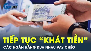 Lãi suất liên ngân hàng lại ghi kỷ lục mới | CafeLand