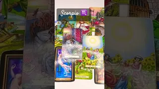 SCORPIO ♏️ MOST ACCURATE READ YOU HAVE EVER WATCHED🤌🩷✨😱 #tarot #tarotreading #scorpio #shorts