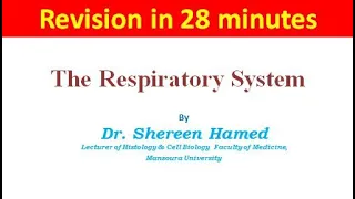 Revision of respiratory system 2021