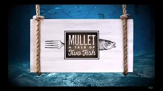 Mullet: A Tale of Two Fish - A WGCU Fishing Documentary