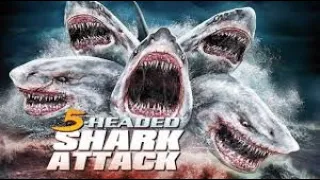 5 Basli Kopek Baligi 5 Headed Shark Attack 2017