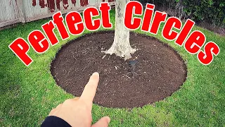 How to Cut Tree Rings