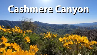 Hiking Cashmere Canyon - Wildflower Season!