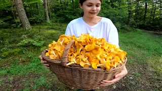 Thousands of Mushrooms in one place!! I have never seen so much shock in my life - Mushrooms 2023