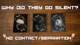 Why Did They Go Silent? 🥺🤫🫢 Blocked/No Contact Separation | Timeless In-Depth Tarot Reading