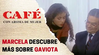 Marcela y Latorre confirman que Gaviota no recibió dinero | Café, con aroma de mujer