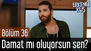 Erkenci Kuş 36. Bölüm - Damat mı Oluyorsun Sen?