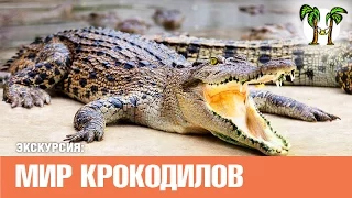 Крокодиловая ферма и шоу, Пхукет экскурсии| Crocodile farm and show