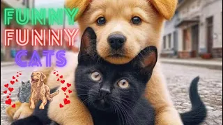 New Funny Cats and Dogs Videos 😂 5 Hour Of Funniest Animals 2024  !😸 😸 Funniest Cats 😸 Part 34